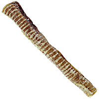 Bark 'N Big USA Beef Trachea - 10-12"