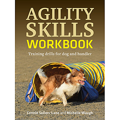 Agility Skills Workbook