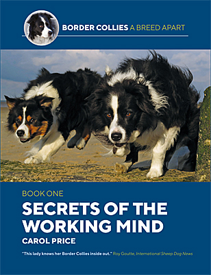 Border Collies A Breed Apart, Book 1 - Secrets of the Working Mind