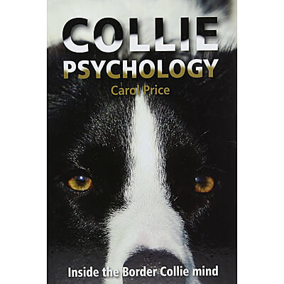 Collie Psychology - Inside the Border Collie Mind