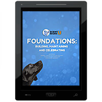 Foundations: Building, Maintaining and Celebrating E-Book