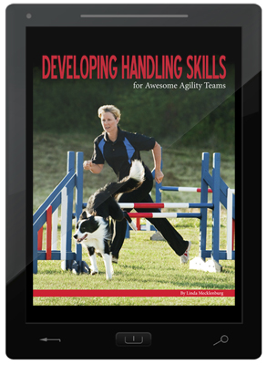 Developing Handling Skills E-Book