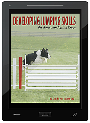 Developing Jumping Skills E-Book