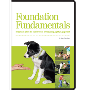 Foundation Fundamentals 6-DVD Set