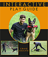 Interactive Play Guide