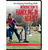 Introduction to Handling in Agility 3-DVD Set