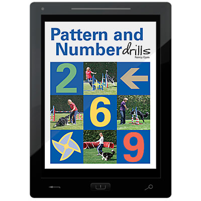 Patterns and Number Drills E-Book