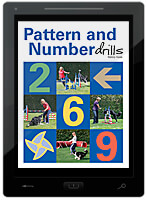 Patterns and Number Drills E-Book