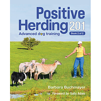 Positive Herding 201: Advanced Dog Training