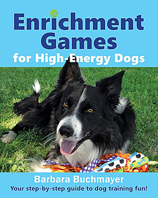 Enrichment Game for High-Energy Dogs