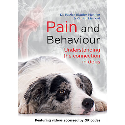 Pain and Behavior: Understanding the Connection in Dogs