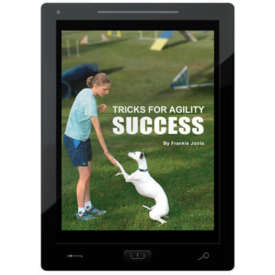 Tricks for Agility Success E-Book