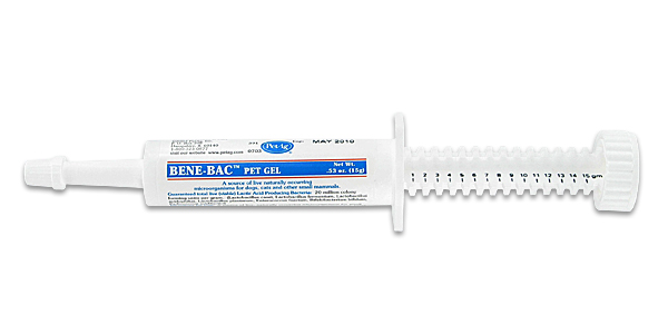 Bene-Bac Plus Gel Digestive Supplement