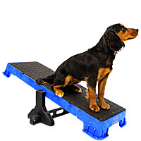 Cato Plank XL Training Platform with Tilt Stand