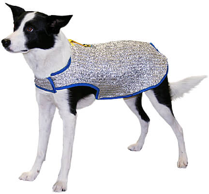 Chillybuddy Canine Cooling Jacket