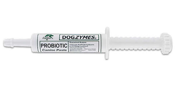Dogzymes Canine Probiotic Paste for a Happy Belly
