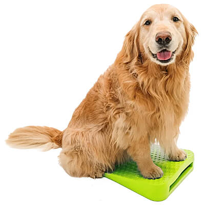 FitPAWS Balance Ramp