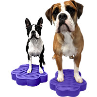 Flexiness SensiPawDisc