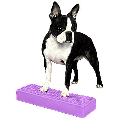 Flexiness StackingBar - Light Purple, Larger & Beginner Dogs