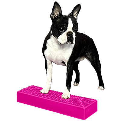 Flexiness StackingBar - Pink, Small & Advanced Dogs