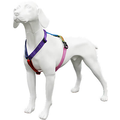 Haqihana Harness - Northern Lights