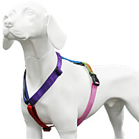 Haqihana Harness - Northern Lights