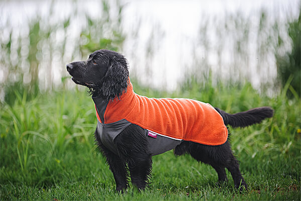 Jumppa Pomppa Thermal Dog Shirts
