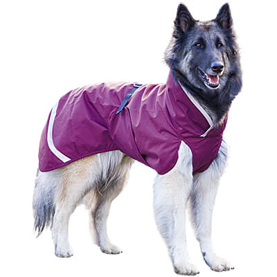 Kevyt Pomppa Midseason Waterproof Dog Coats