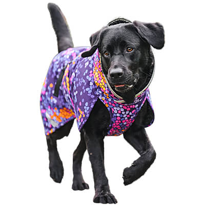 Perus Pomppa Weatherproof Winter Dog Coats