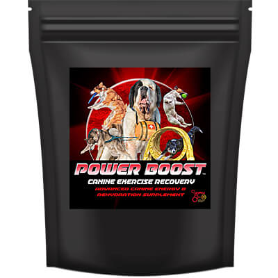 CPN Power Boost Advanced Canine Energy & Rehydration
