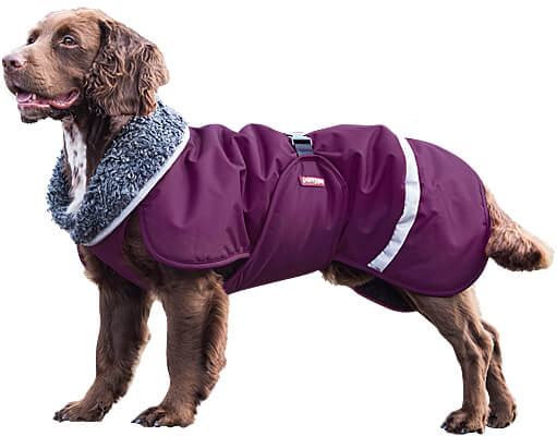 Toppa Pomppa Insulated Winter Dog Coats