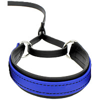 5/8" BioThane Sighthound-Style 2-Color Martingale Leash - 6'
