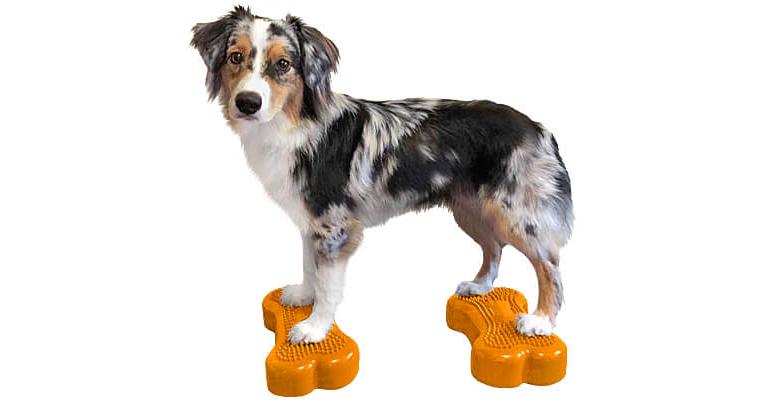 dog balance bone