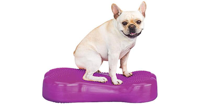 FitPAWS K9FITbone Balance Bone Clean Run