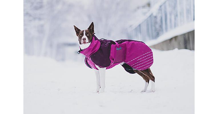 Clean Run Non-stop Dogwear Glacier Jacket