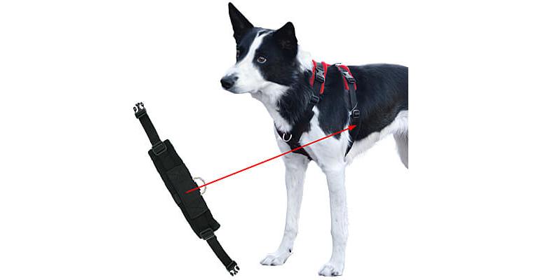 High-Flex Collar Strap - Buy and Sell Hunting Dogs