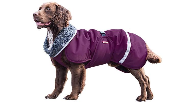 Toppa Pomppa Insulated Winter Dog Coats - Clean Run