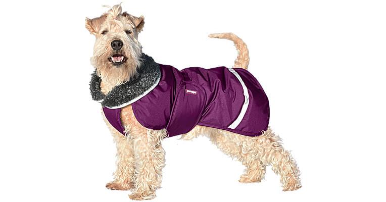 Pomppa dog coats uk Clearance