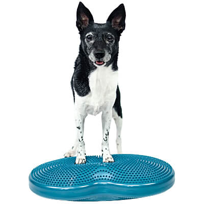 FitPAWS Duo Disc