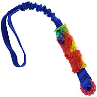 Raspberry Rainbow Bungee Tug