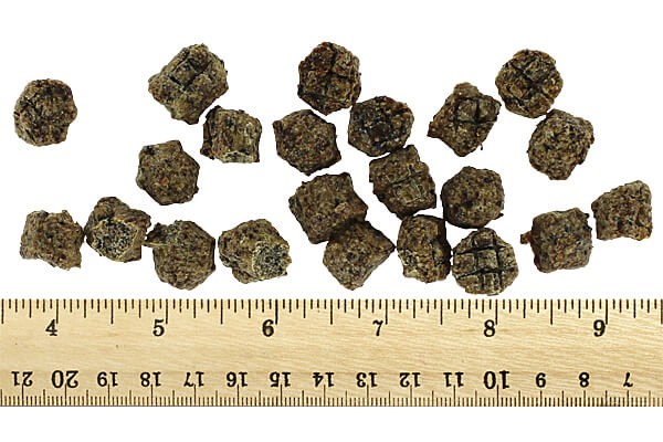 Icelandic+ Soft & Chewy Bites - Beef, Plum & Kelp, 2.82 oz.