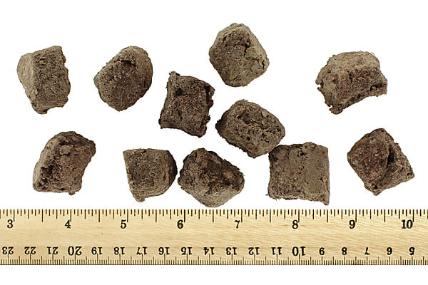 Momentum Carnivore Nutrition - Beef Heart, 3 oz.