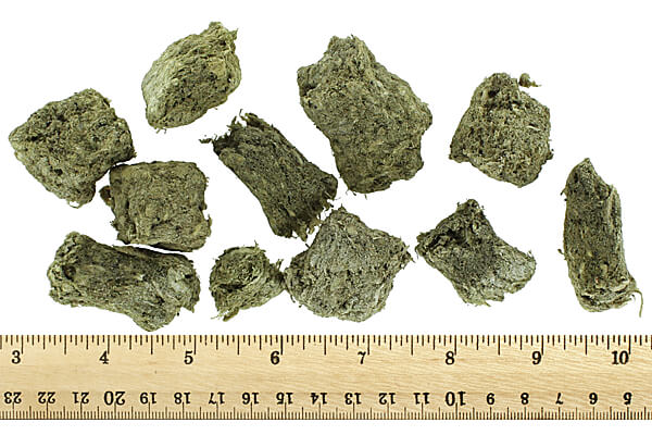 Momentum Carnivore Nutrition - Bison Tripe, 3.5 oz.