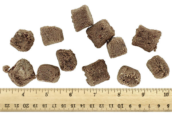 Momentum Carnivore Nutrition - Duck Neck, 3 oz.