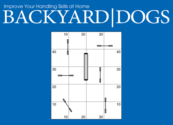 Backyard Dogs Episode 2: Cues for Tunnels