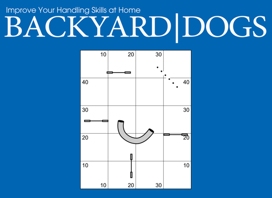 Backyard Dogs Episode 3: Layering Obstacles