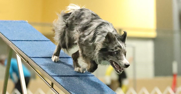 Fantastic Running Contacts