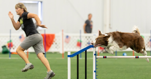 The Ultimate Handling Boot Camp: Personalized Agility Coaching
