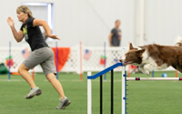 The Ultimate Handling Boot Camp: Personalized Agility Coaching