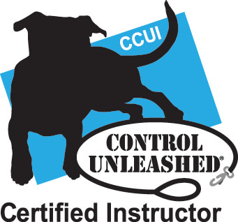 Control Unleashed Instructor Certification Program - CCUI